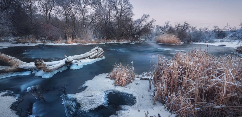 Le programme de l’hiver